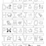 The Animal Alphabet   Poster | Alphabet Printables, Learning In Alphabet Worksheets For Esl