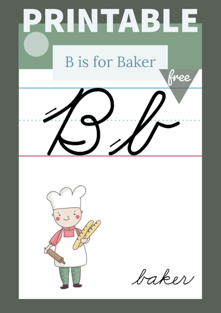 The Letter B In Cursive  Printable Poster | Primarylearning