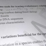 Tools For Tracing Evolutionary Relationship In Brief About Intended For Name Some Tools For Tracing Evolutionary Relationships
