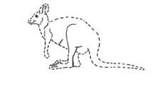 Tracing Animals Pictures And Names Worksheets