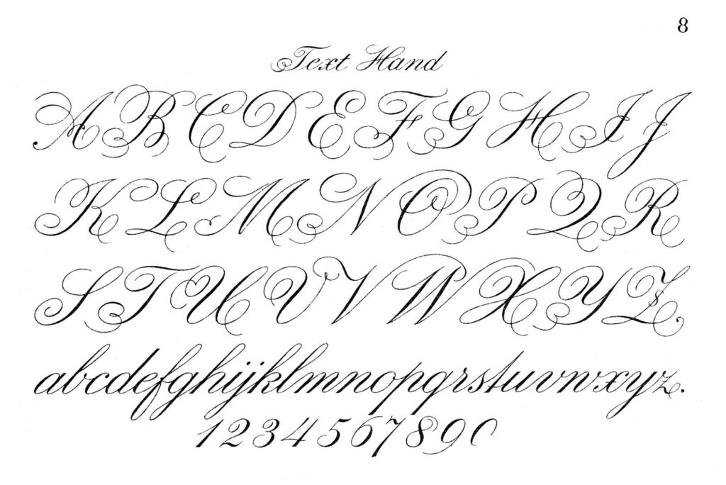 Typography Printable Fancy Script Monograms The Typography Printable Fancy Script Monograms The