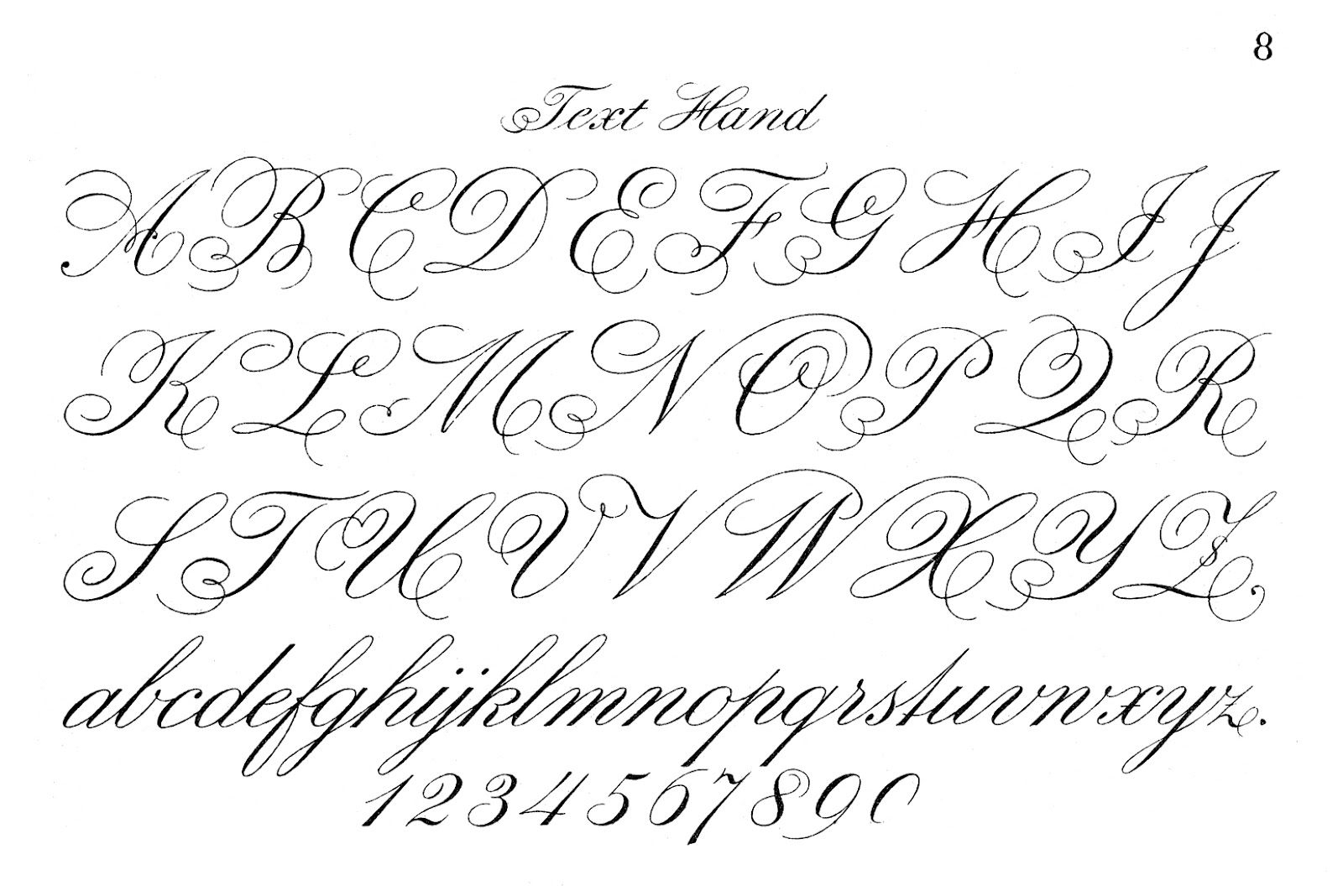 Typography Printable - Fancy Script - Monograms - The