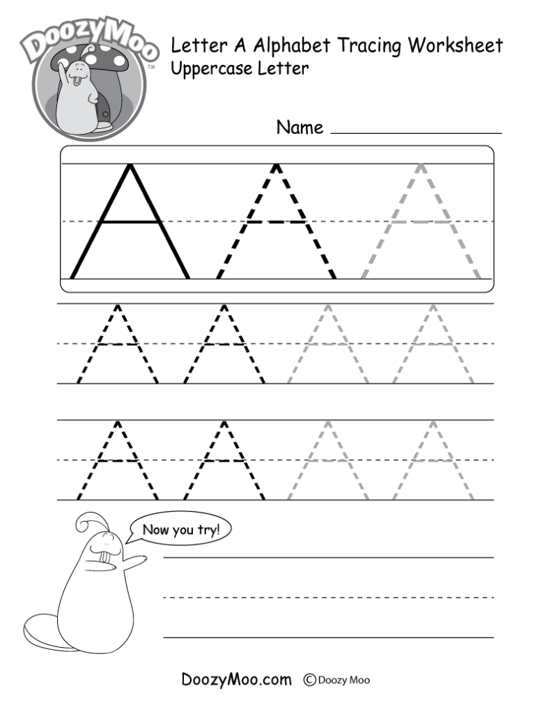 Uppercase Letter A Tracing Worksheet   Doozy Moo