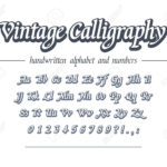 Vintage Calligraphy. Hand Drawn Outline Alphabet. Universal Handwritten..