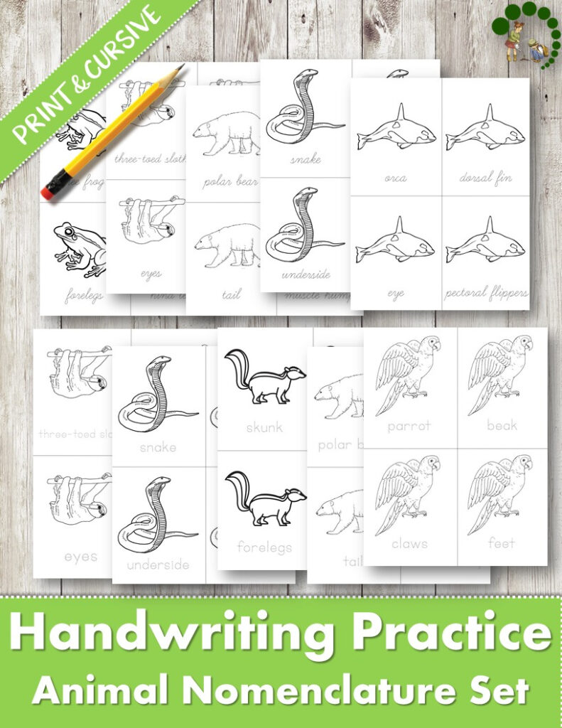 Worksheet ~ Handwriting Practice For Children Montessori