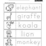 25 Zoo Animals Preschool Curriculum Activities Preschool B&w