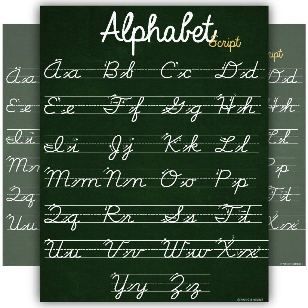 Abc Cursive Script Alphabet Poster Size Small Chart Laminated Teaching  Classroom Decoration Young N Refined   Walmart