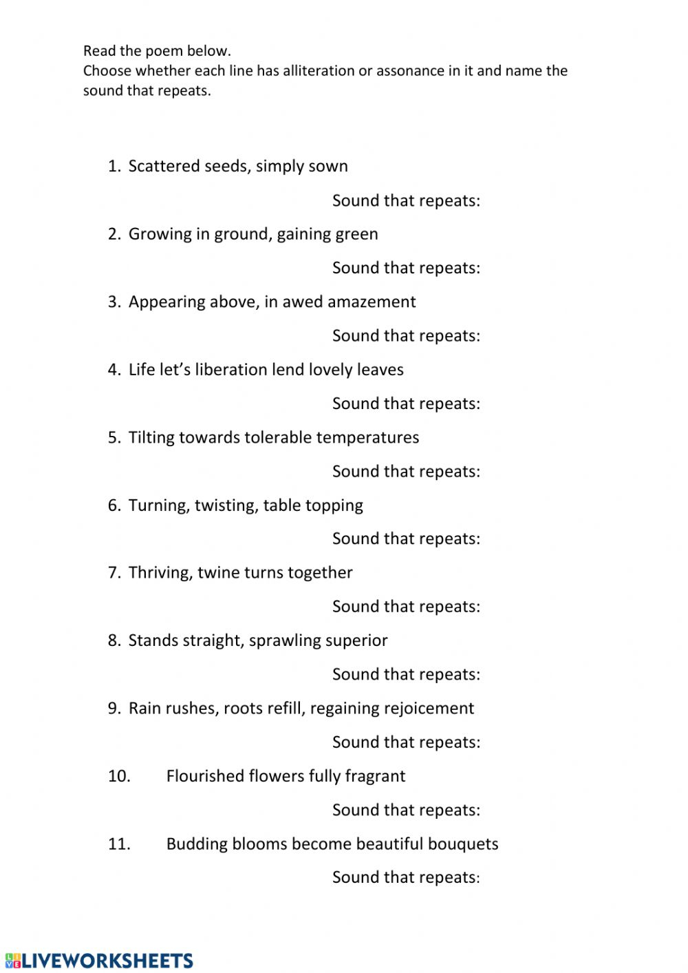 Alliteration And Assonance Worksheet