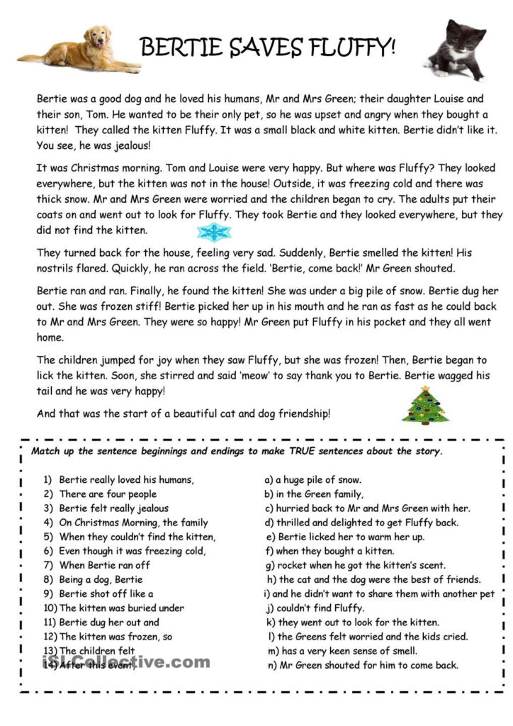 Bertie The Dog Saves Fluffy The Kitten | Reading Worksheets