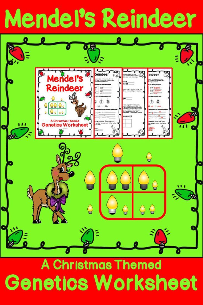 Christmas Science   Genetics Worksheet | Christmas Science