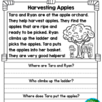 Coloring Book Math Worksheet Awesome First Grade Reading