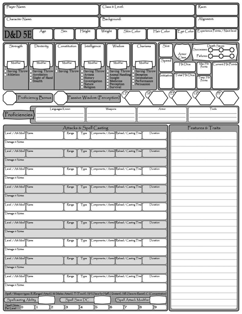 Condensed 5E Character Sheet   Dungeon Masters Guild