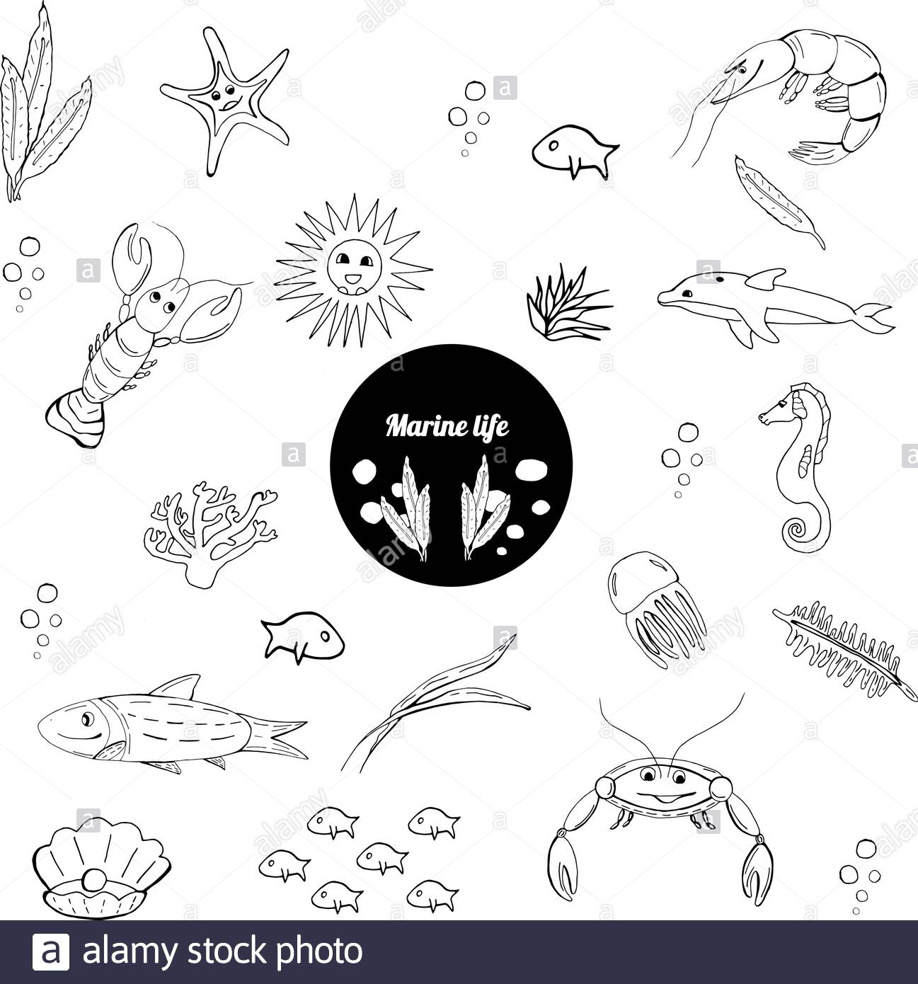 Creatures Vector Vectors High Resolution Stock Photography