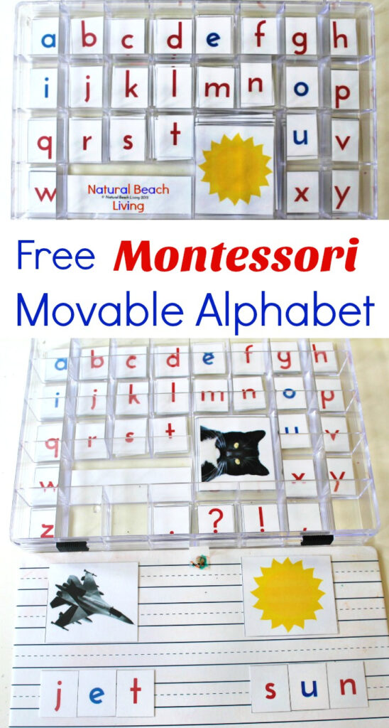 Diy Montessori Movable Alphabet (Free Printables)   Natural