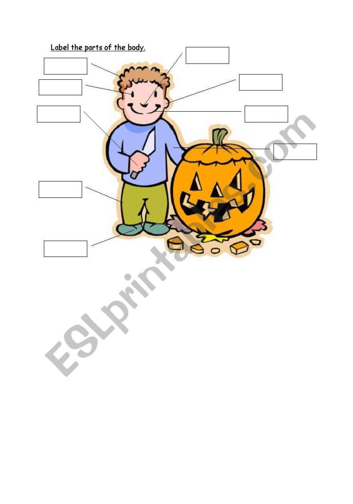 English Worksheets: Halloween Body Parts