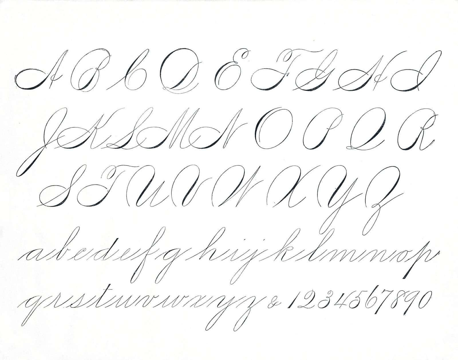 Example Of Spencerian Script Alphabet. | Calligraphy