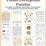 Fall Visual Perceptual Puzzles