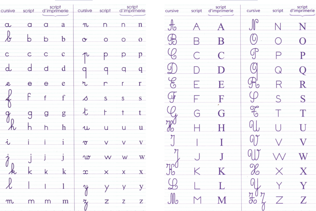 Fiche Méthodologique : Les Lettres De L'alphabet   .cursive