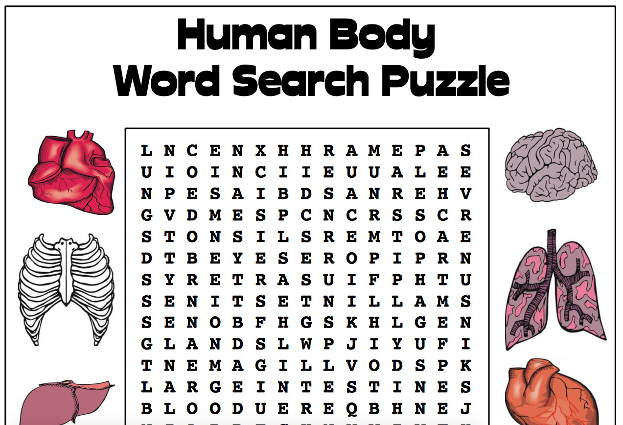 For 5Th Grade Cbt Child Anxiety Worksheets Human Body Super