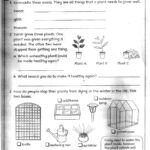 Free 3Rd Grade Science Worksheets Printable And Plant For