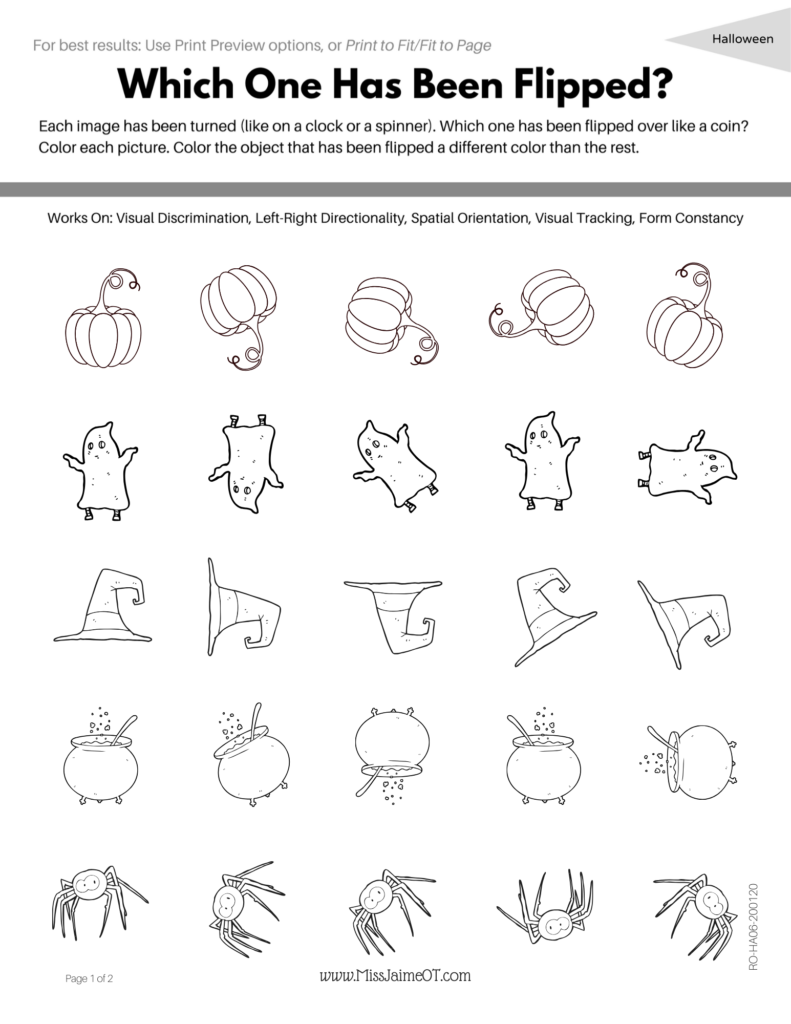 Functional Visual Perception Digital Workbook