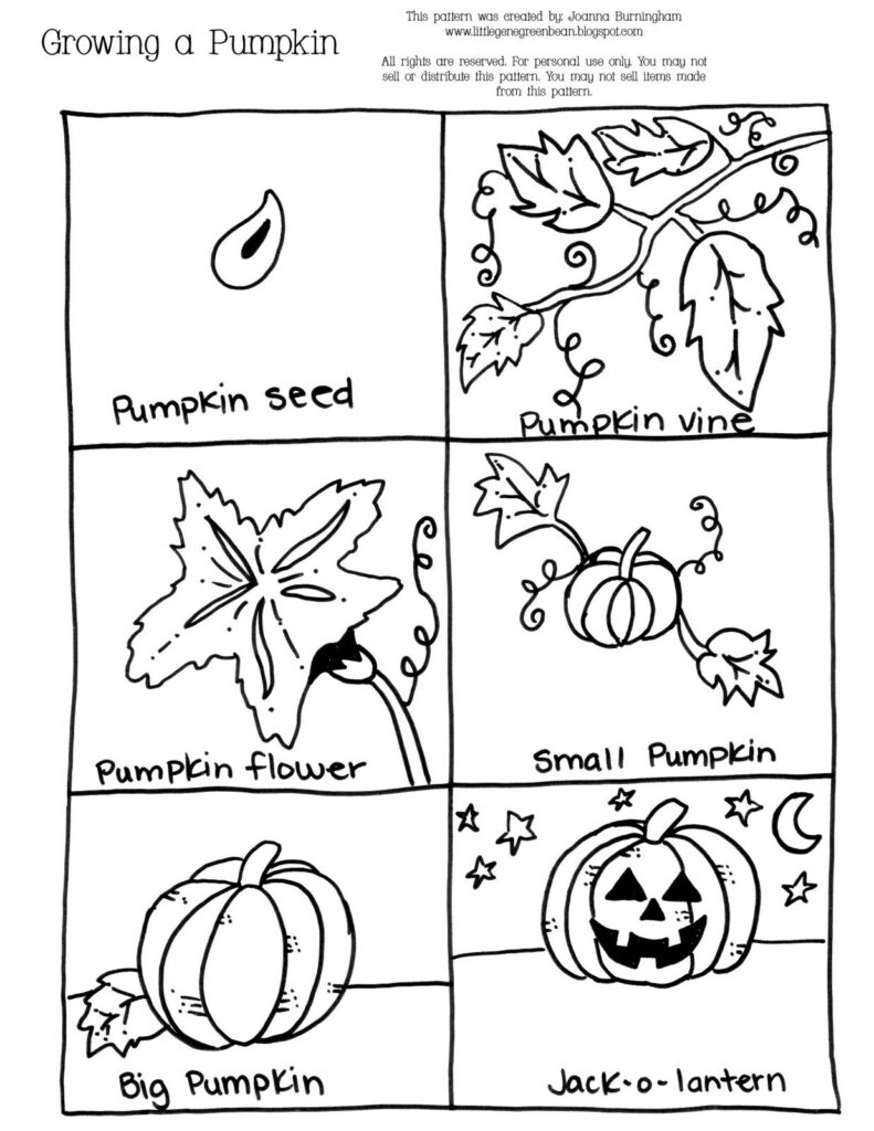 Growing+A+Pumpkin 1,236×1,600 Pixels | Preschool