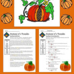 Halloween Activities: Anatomy Of A Pumpkin Activity Packet
