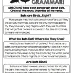 Halloween Grammar Packet | Grammar, 2Nd Grade Reading