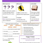 Halloween Homonyms Lesson   Which, Witch, Or  Wich? Esl
