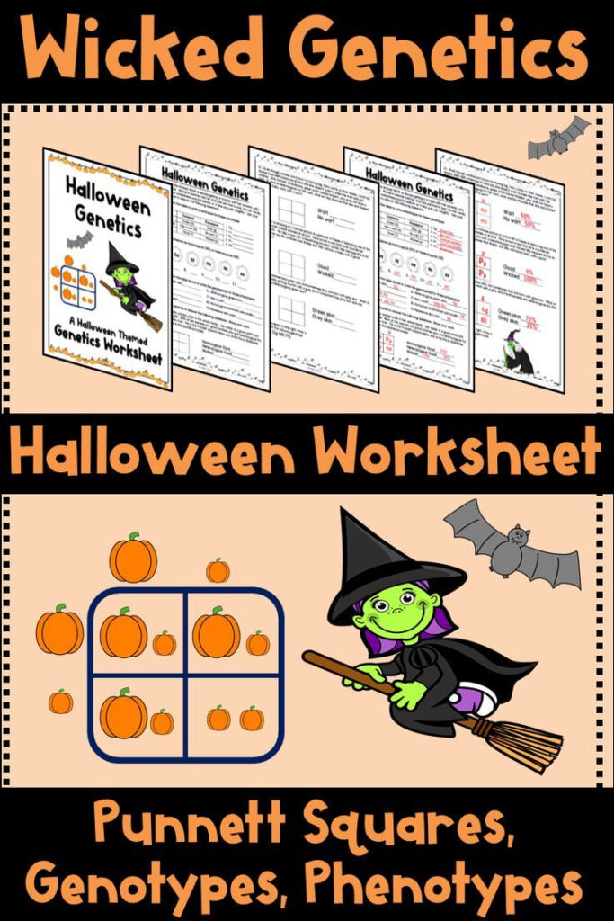 Halloween Punnett Squares Worksheet (Genetics, Genotype