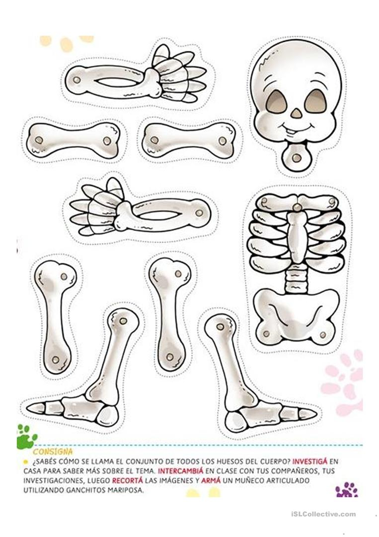 Halloween Skeleton - English Esl Worksheets For Distance