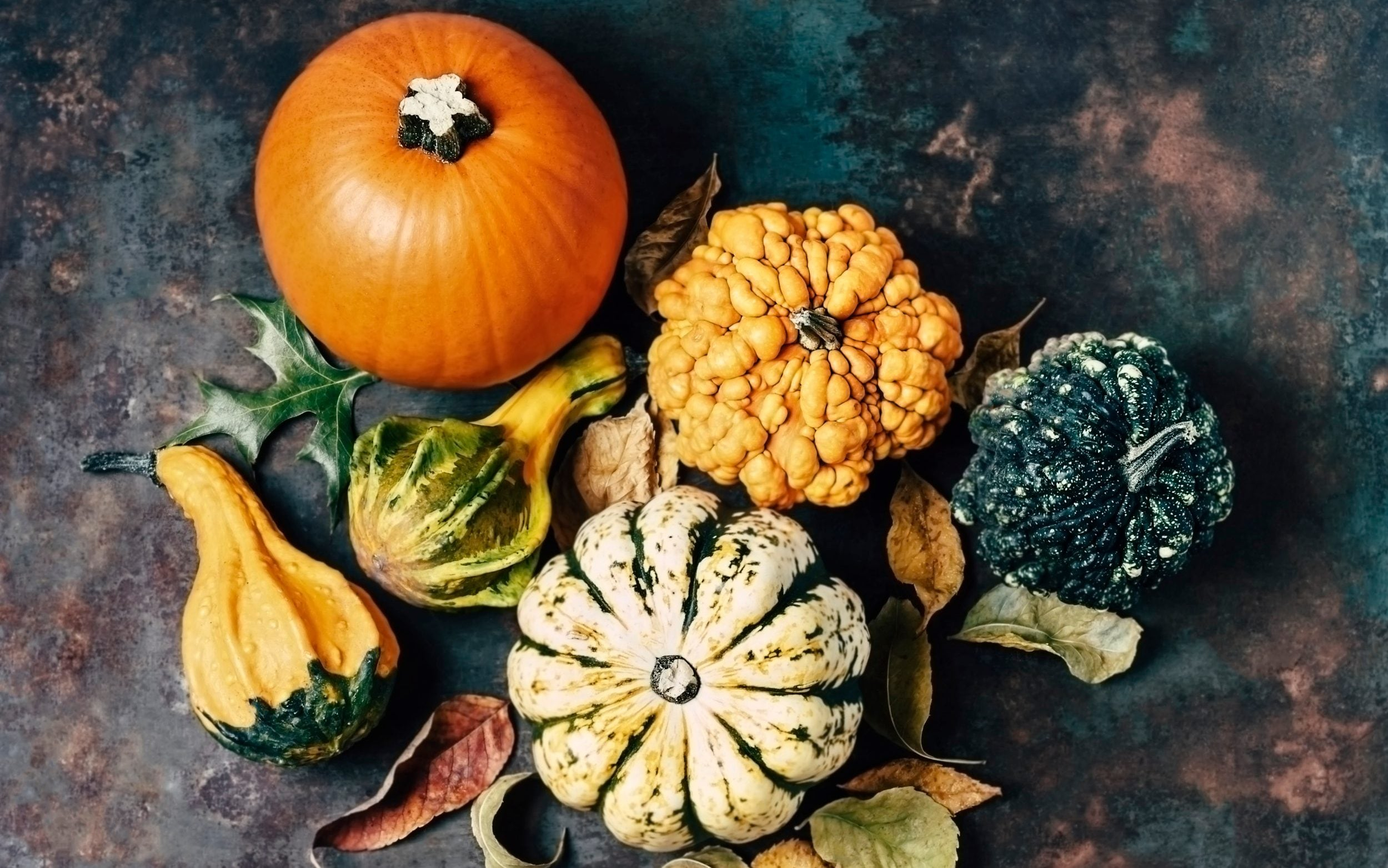 How To Grow And Carve Halloween Pumpkins | The Telegraph