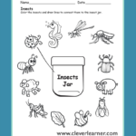 Insects Preschool Worksheets | Insects Preschool, Free