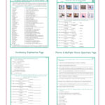 Internet Sites, Terms, And Activities Combo Activity Worksheets