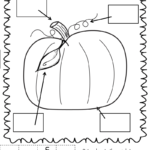Label A Scarecrow Pumpkin.pdf   Google Drive | Fall