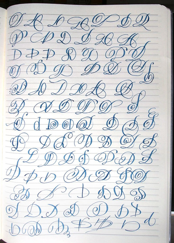 Majuscule D Variantspolish Calligrapher Barbara Galinska