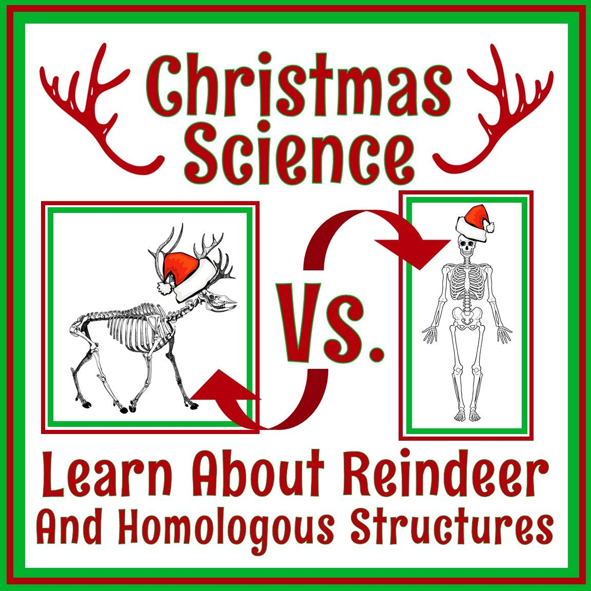 Middle School Holiday Science Worksheet In 2020 | Holiday