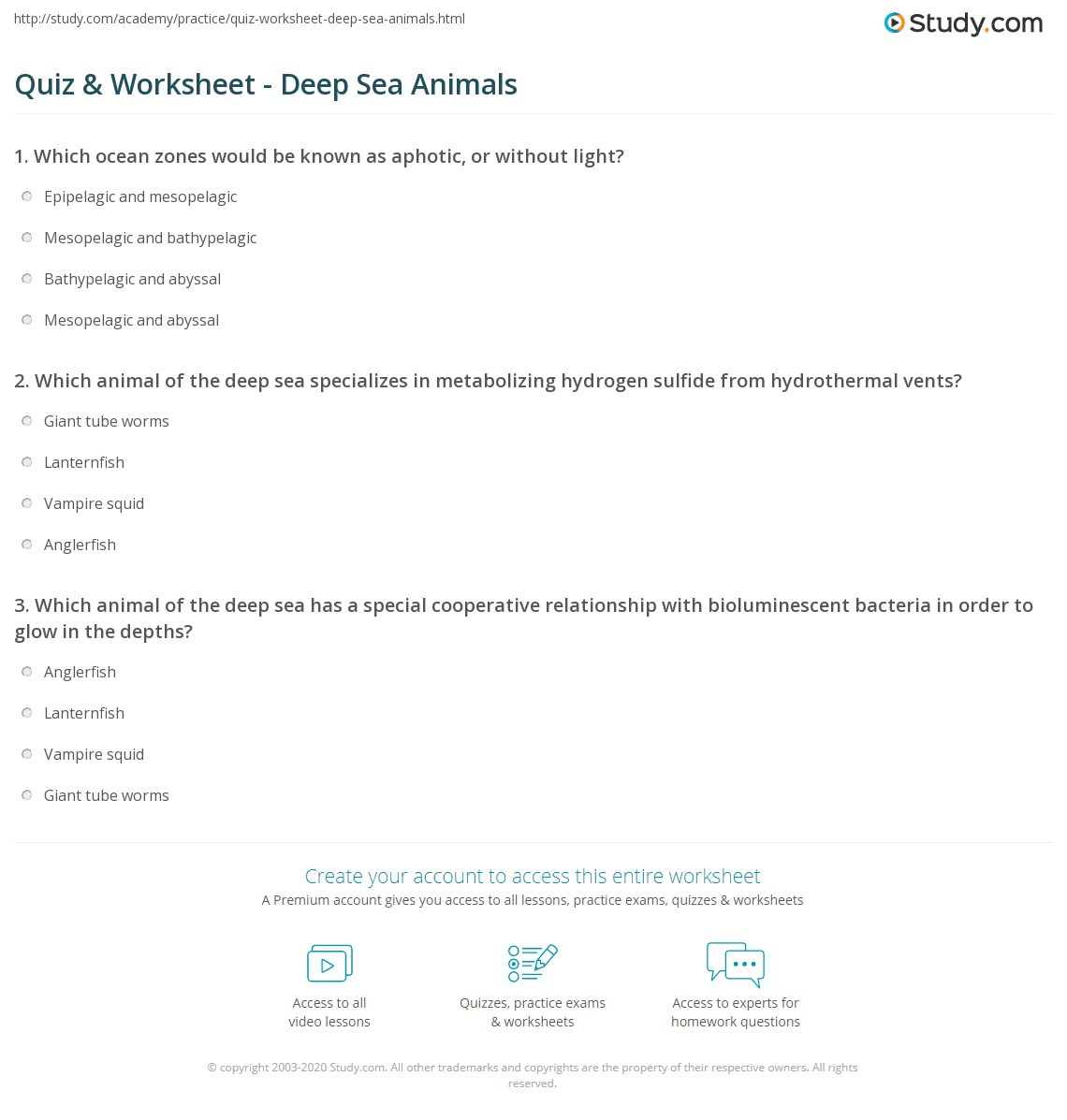 Monthly Archives: July 2020 Grade 2 Science Air And Water