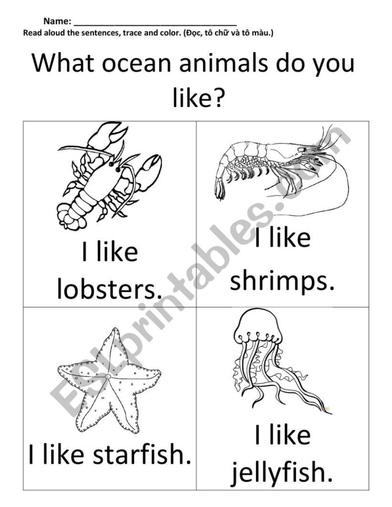 Ocean Animals   Esl Worksheetphuongtruong