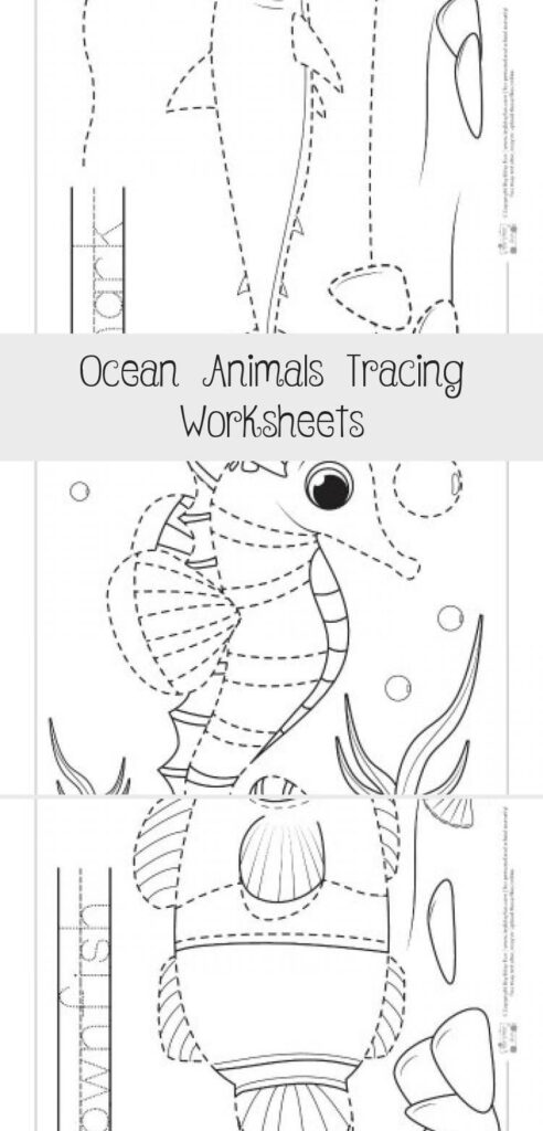 Ocean Animals Tracing Worksheets   Itsy Bitsy Fun