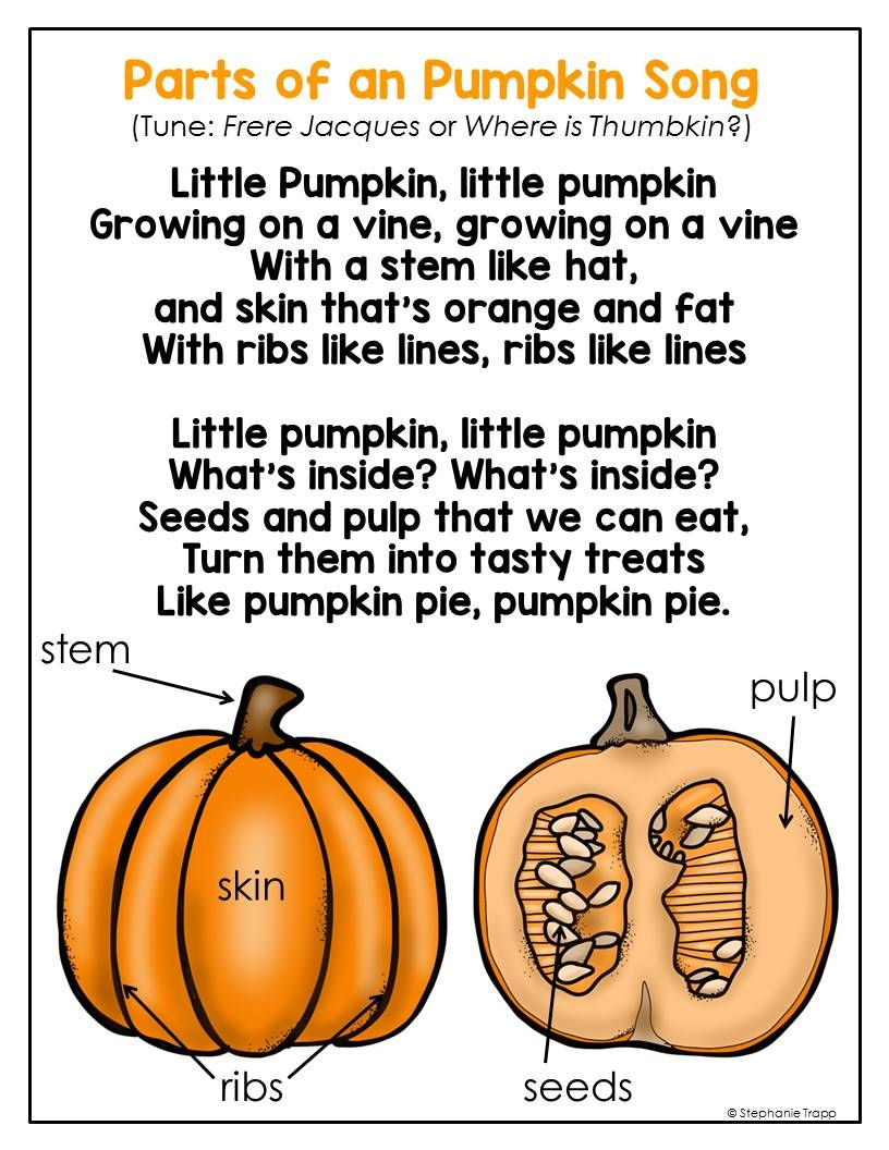 Parts Of A Pumpkin Free Printable | Halloween Preschool