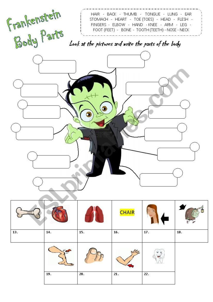 Parts Of The Body   Halloween   Esl Worksheetbucky2406