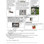 Pet Adverts   Reading And Conversation Practice   Esl