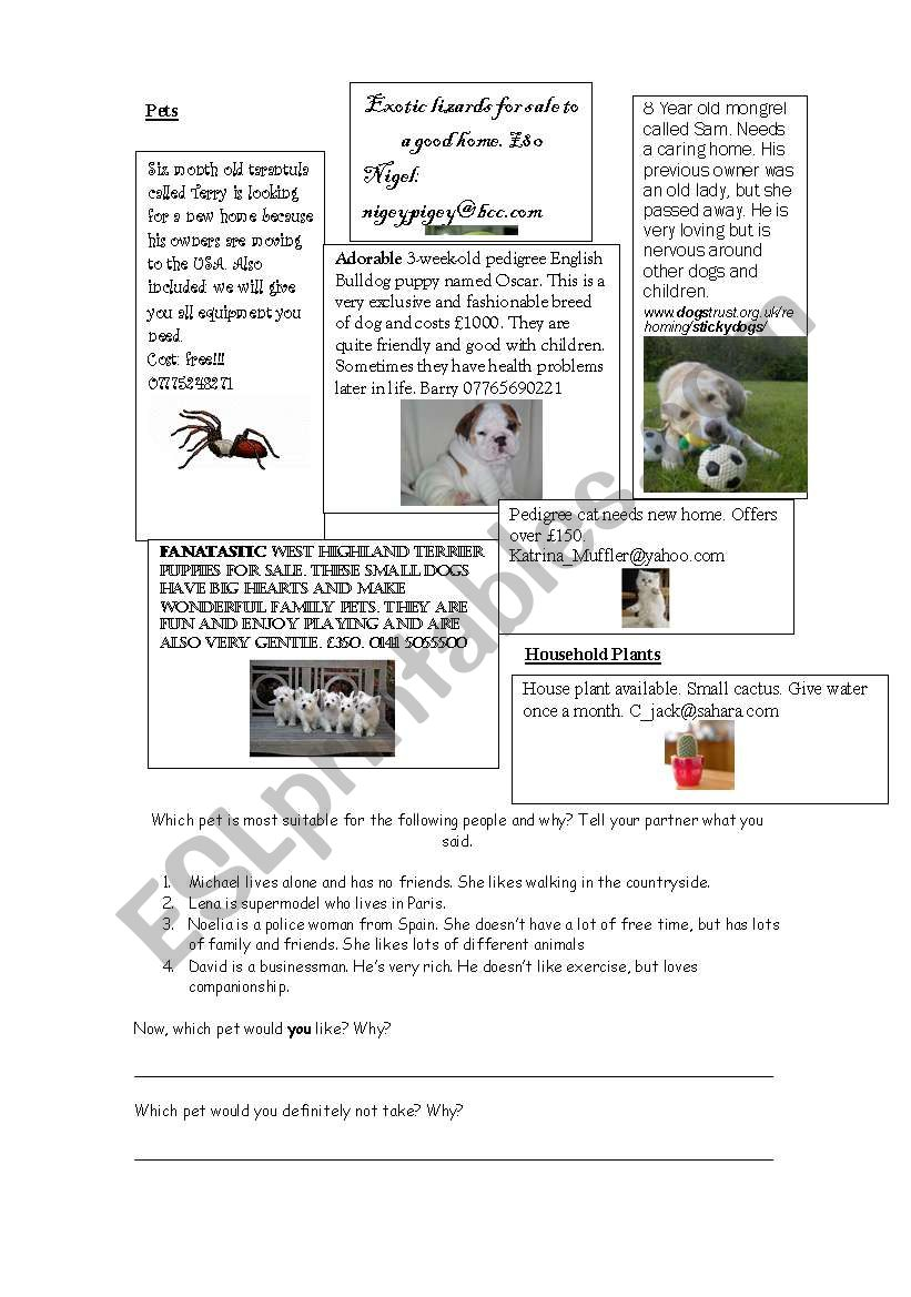 Pet Adverts - Reading And Conversation Practice - Esl