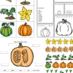 Pumpkin Activities For Kids Theme Lesson Plan Stem Science