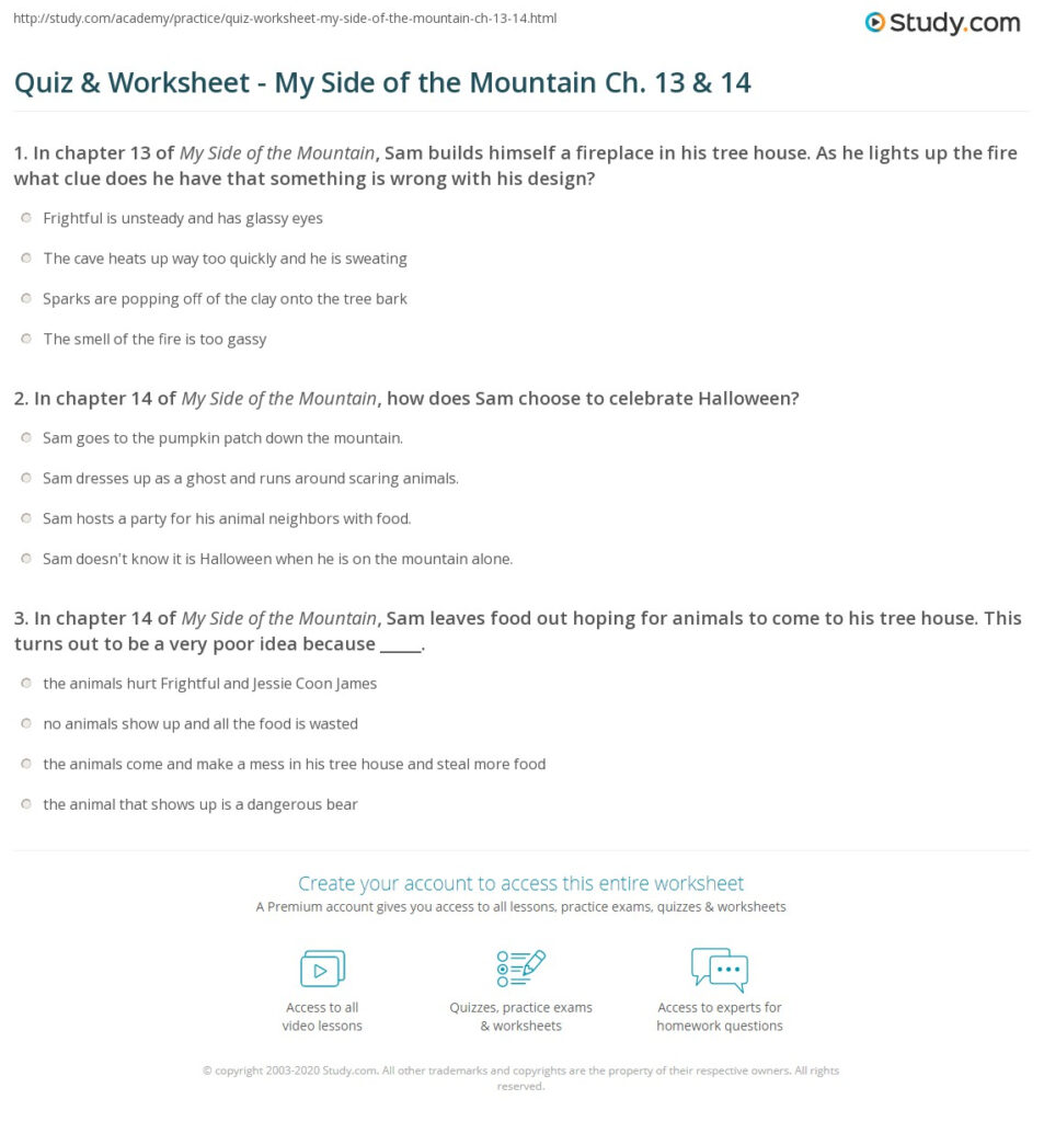 Quiz & Worksheet   My Side Of The Mountain Ch. 13 & 14