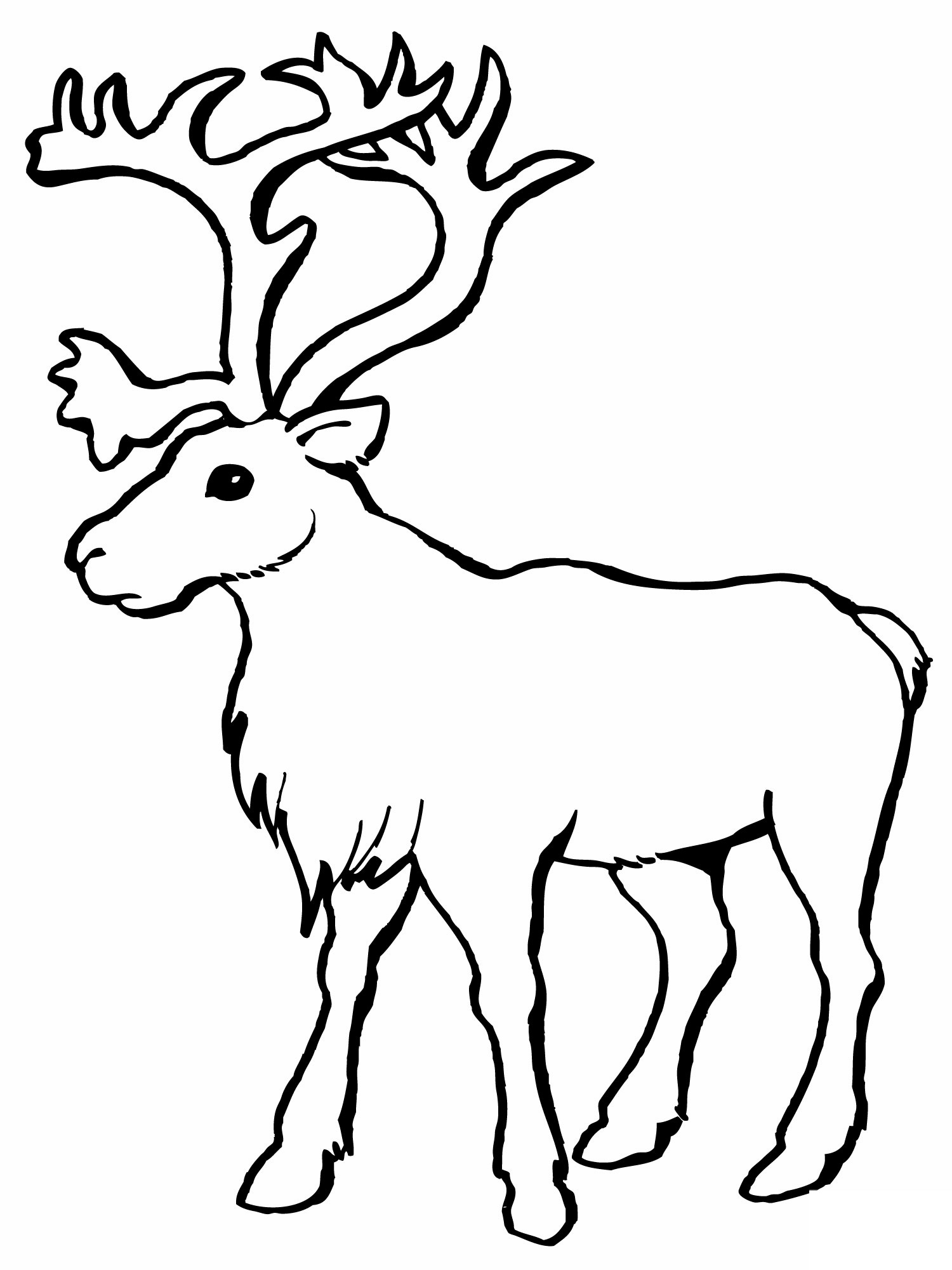 Reindeer Coloring Sheet Printable Pages Coloringme Com Santa