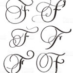 Set Of Art Calligraphy Letter F With Flourish Of Vintage