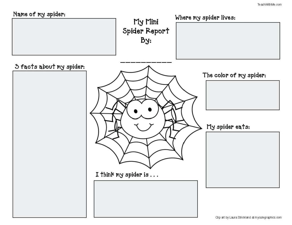 Spider Activities And Games That Teach | Spider Activities