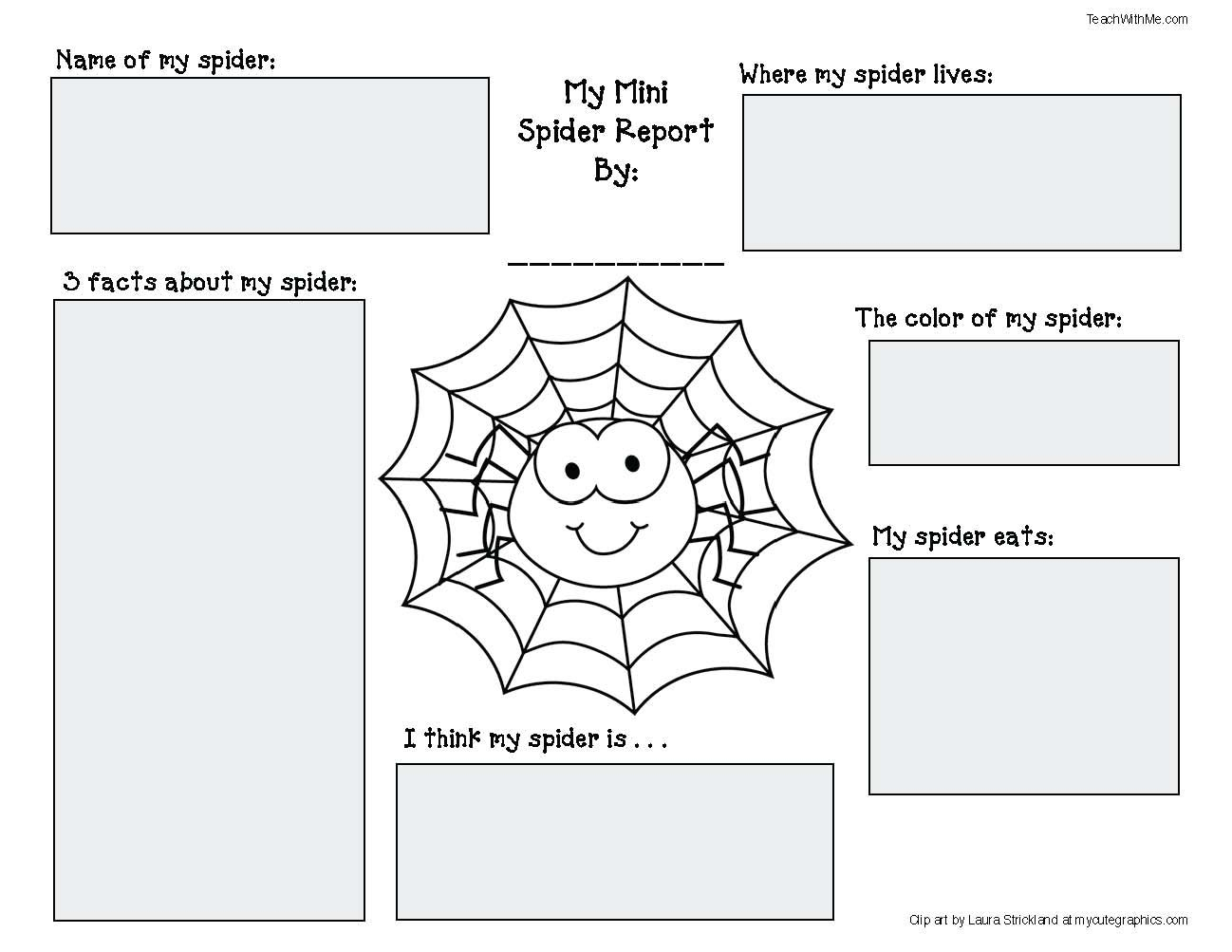 Spider Activities And Games That Teach | Spider Activities